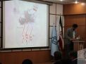 گزارش تصویری تقدیر و تجلیل از تلاشگران عرصه کار به مناسبت روز جهانی کار و کارگر